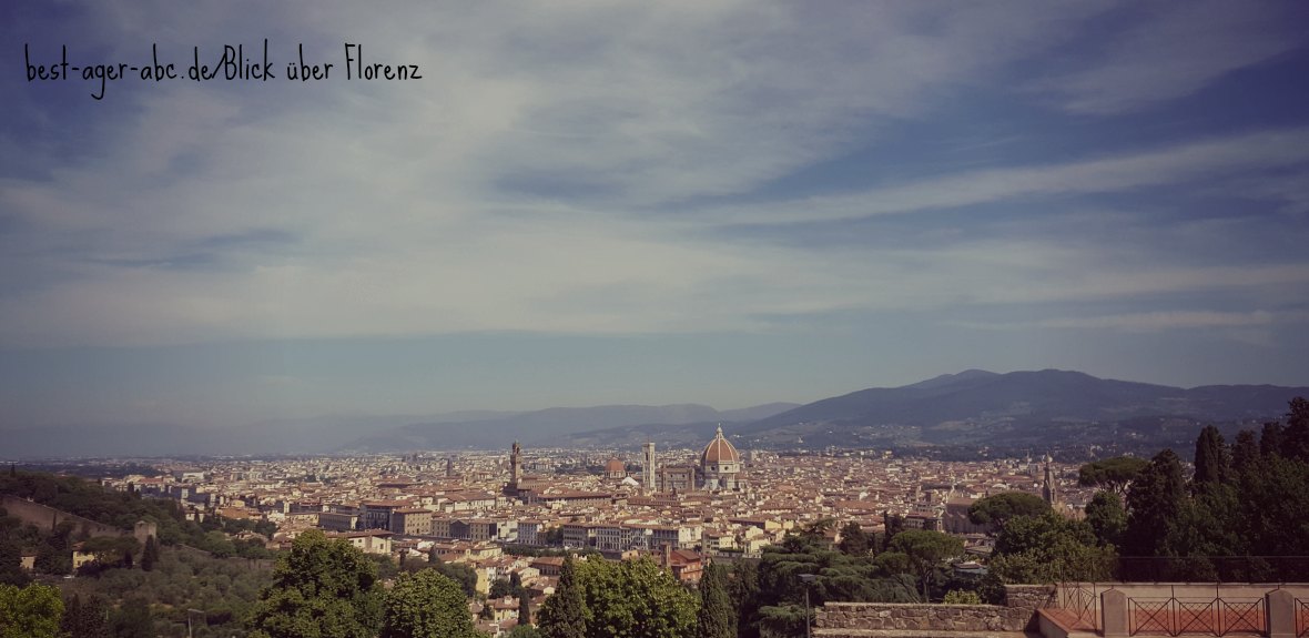 überwältigender Blick über Florenz