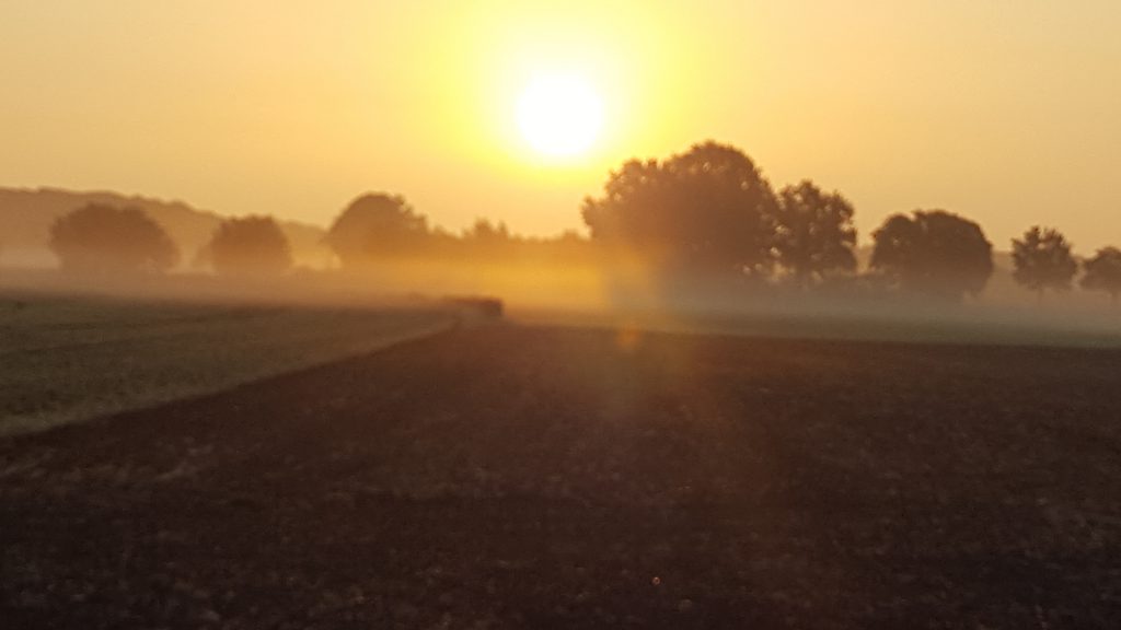 Natur im Nebel